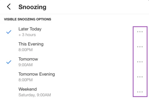 snoozing options